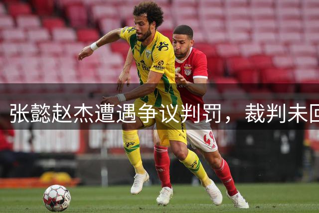 张懿赵杰遭遇争议判罚，裁判未回放争议瞬间